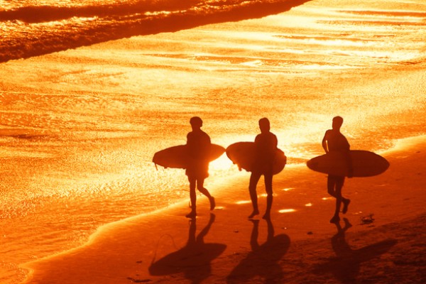 beach-surfers-sru0w61ghah6qtblgyiwuzp-rgb-729D460540-33D9-902E-5338-255A76BBB39B.jpg